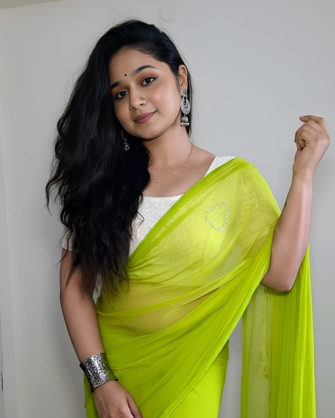 Dilnaaz Saree