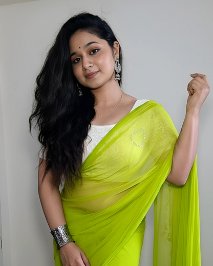 Dilnaaz Saree